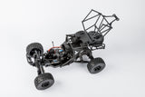 TTRCSport - JACKAL V2 Desert Buggy TTSPORT01 ***FREE SHIPPING***