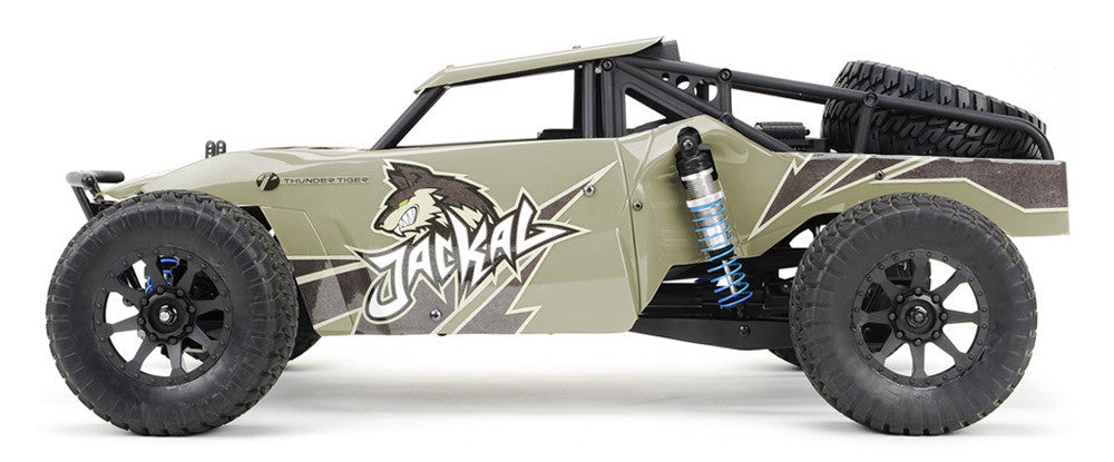 Jackal rc shop desert buggy